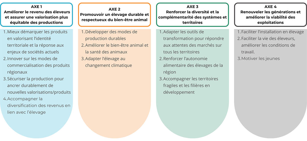 Illustration 4 axes stratégique 2