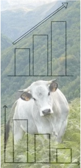 illustration observatoire BV